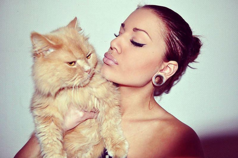 Why hedgehogs are better than cats