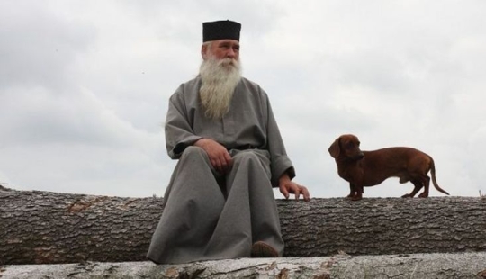 Why in many cultures dogs were considered unclean animals Why in many cultures dogs were considered unclean animals