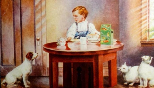 Why is breakfast the most important meal and what does cereal have to do with it Why is breakfast the most important meal and what does cereal have to do with it