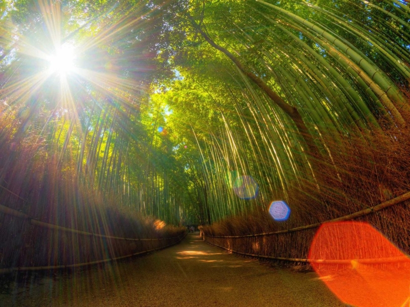 Why Kyoto was chosen as the best city in the world: 23 photo evidence