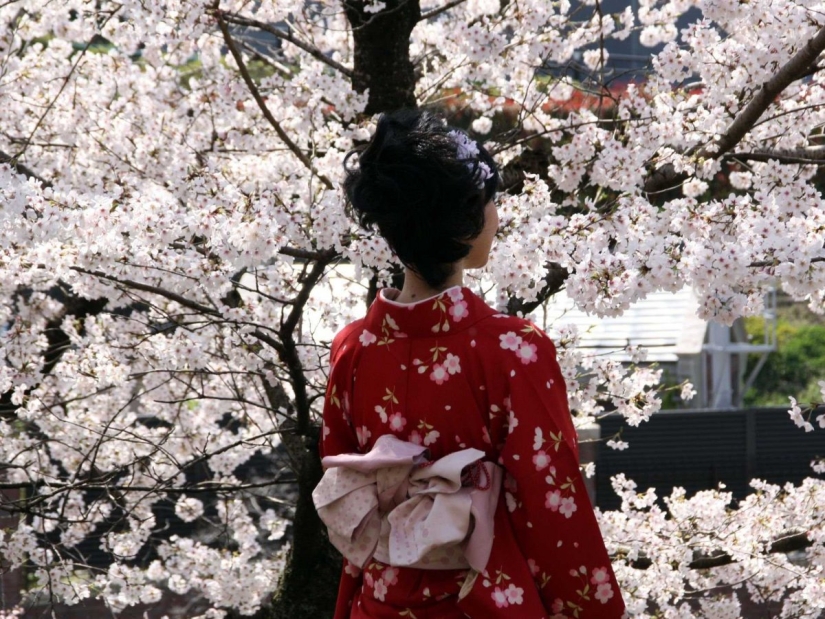 Why Kyoto was chosen as the best city in the world: 23 photo evidence
