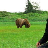 Why the bears ate their friend "Grizzly Man" Timothy Treadwell Why the bears ate their friend "Grizzly Man" Timothy Treadwell
