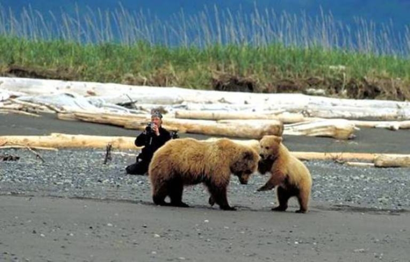 Why the bears ate their friend "Grizzly Man" Timothy Treadwell