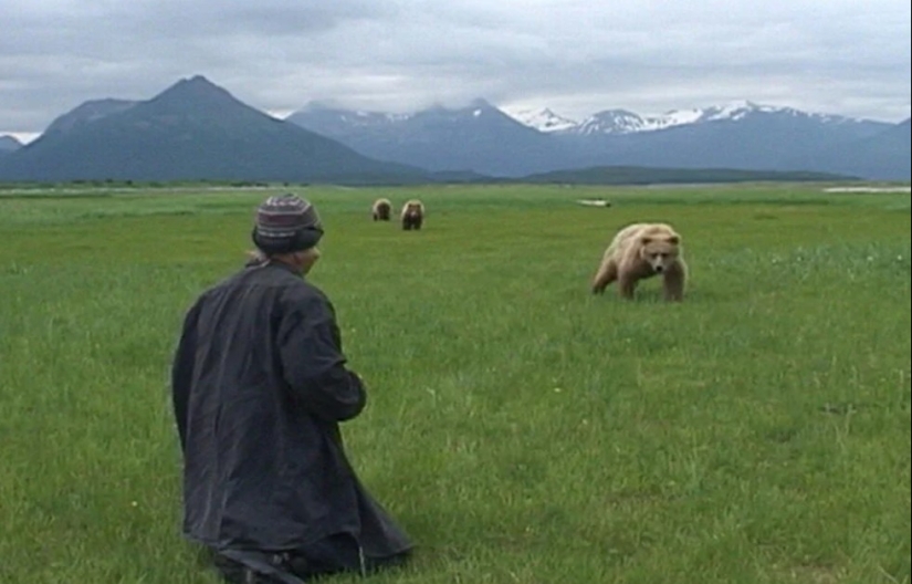 Why the bears ate their friend "Grizzly Man" Timothy Treadwell