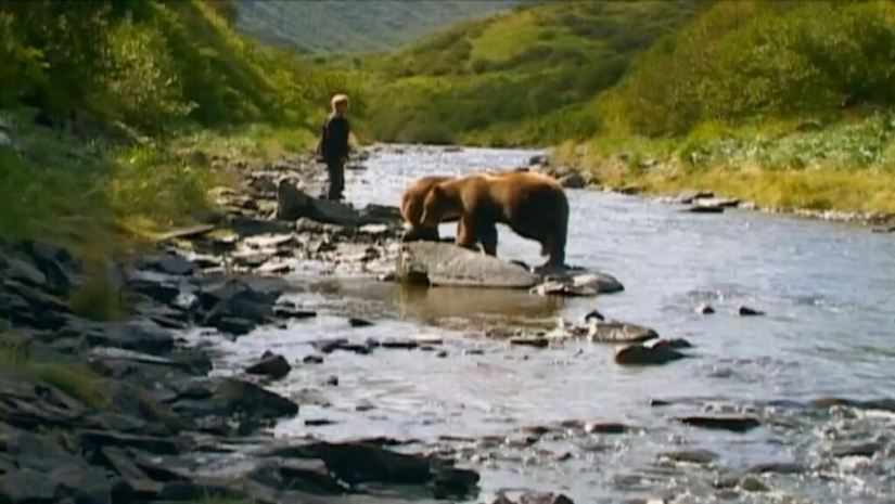 Why the bears ate their friend "Grizzly Man" Timothy Treadwell
