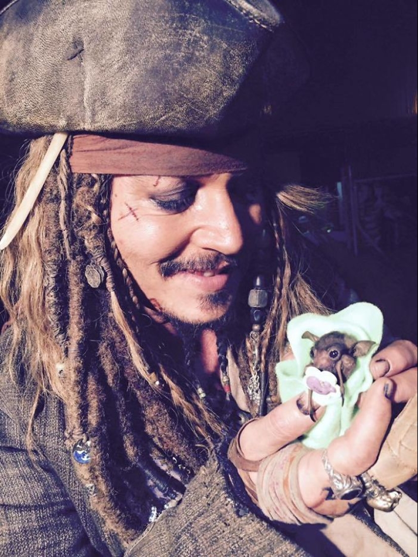 Why We&#39;re No Longer Afraid of Bats