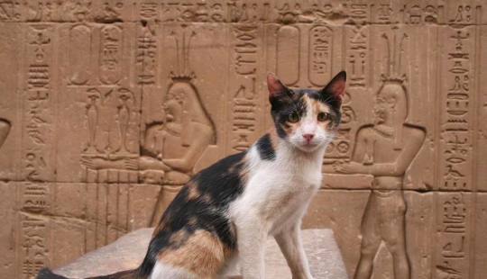 Why were cats so loved and revered in ancient Egypt?