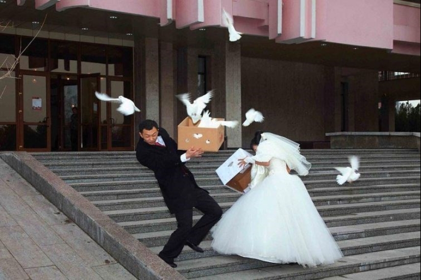 Wildest trash in the haze of revelry:" the best " wedding photos from Russia Wildest trash in the haze of revelry:" the best " wedding photos from Russia