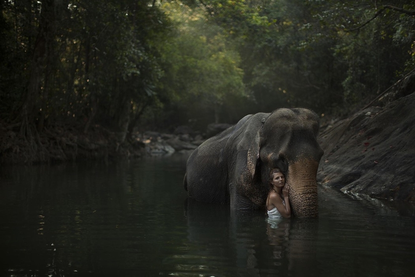 Wildlife and fearless models Russian Wildlife and fearless models Russian