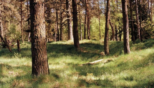 Will you be able to see a disguised German sniper aiming directly at you?