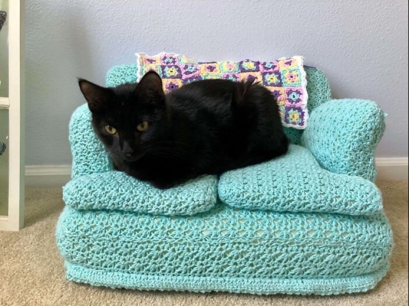 With your own hands: funny knitted couches for cats With your own hands: funny knitted couches for cats
