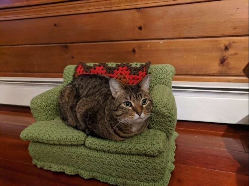 With your own hands: funny knitted couches for cats With your own hands: funny knitted couches for cats