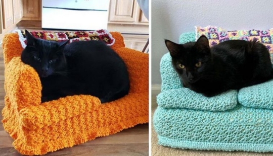 With your own hands: funny knitted couches for cats