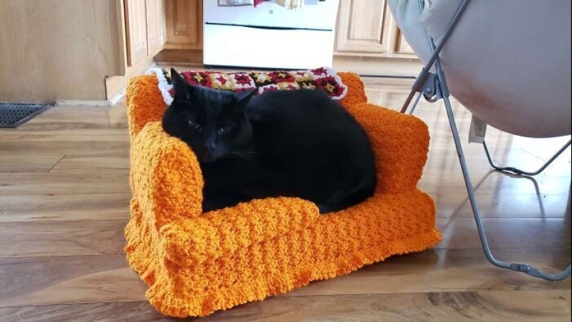 With your own hands: funny knitted couches for cats With your own hands: funny knitted couches for cats