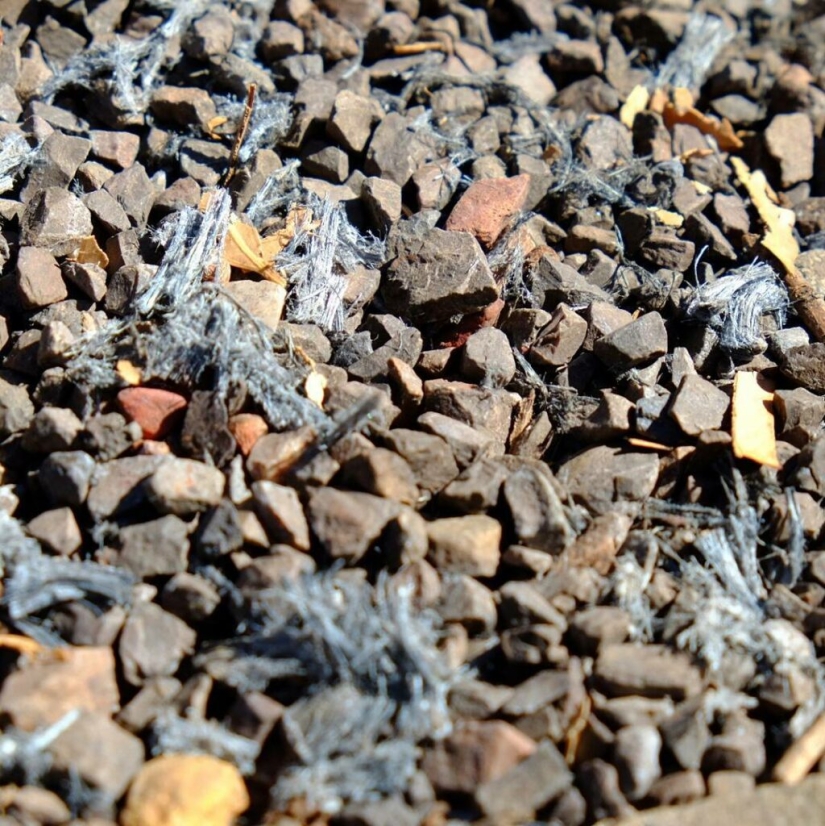 Wittenoom: la ciudad prohibida de Australia donde el aire puede matar Wittenoom: la ciudad prohibida de Australia donde el aire puede matar