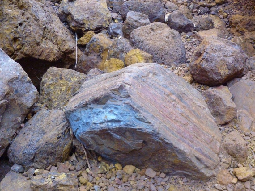 Wittenoom: la ciudad prohibida de Australia donde el aire puede matar Wittenoom: la ciudad prohibida de Australia donde el aire puede matar
