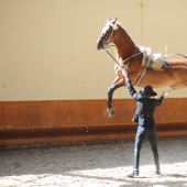 Worth a closer look: 17 funny pictures from the series " It seemed» Worth a closer look: 17 funny pictures from the series " It seemed»