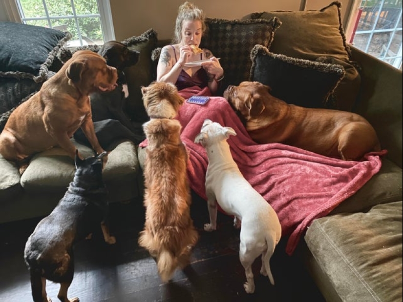 You can't refuse them! 22 photos of animals looking at food You can't refuse them! 22 photos of animals looking at food