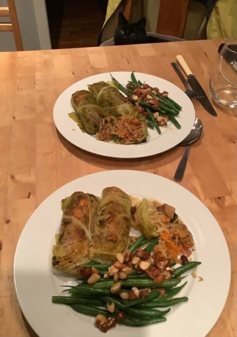 You can't refuse them! 22 photos of animals looking at food You can't refuse them! 22 photos of animals looking at food