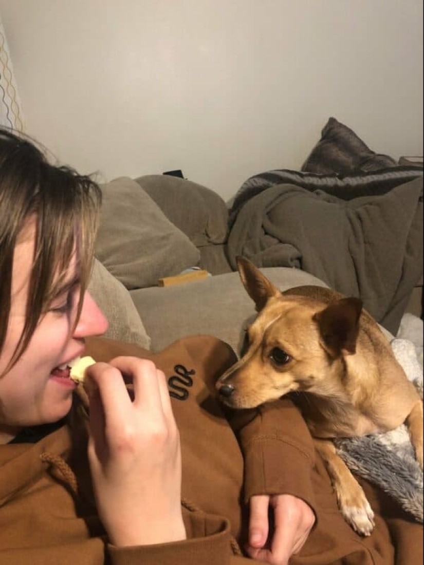 You can't refuse them! 22 photos of animals looking at food You can't refuse them! 22 photos of animals looking at food