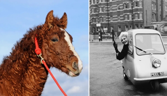 You don't see this every day: 25 amazing photos about everything You don't see this every day: 25 amazing photos about everything