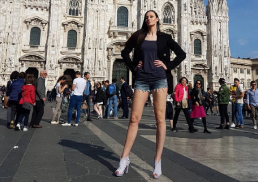 "You light bulb without a chair screwed?": the best photo and jokes about the high girls