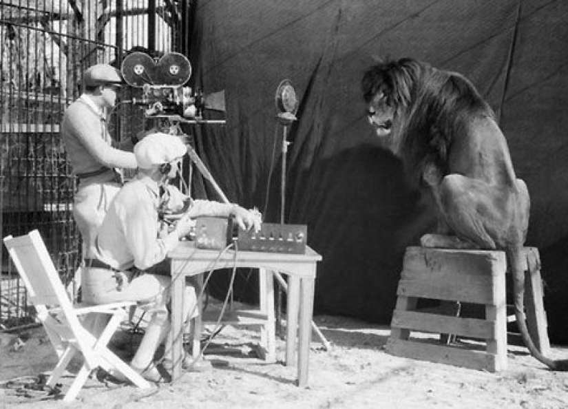 Young Greta Garbo and the lion - how the legendary photo appeared