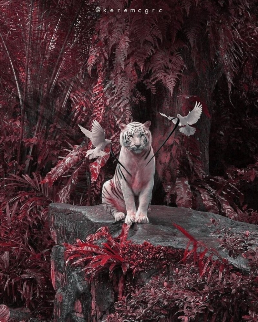 Young Turkish photographer Kerem Jigerji and his surreal photo manipulations Young Turkish photographer Kerem Jigerji and his surreal photo manipulations