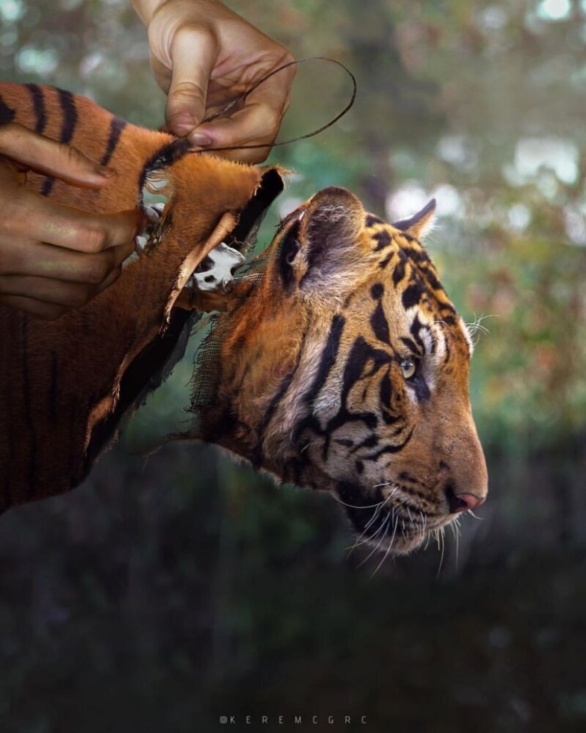 Young Turkish photographer Kerem Jigerji and his surreal photo manipulations Young Turkish photographer Kerem Jigerji and his surreal photo manipulations