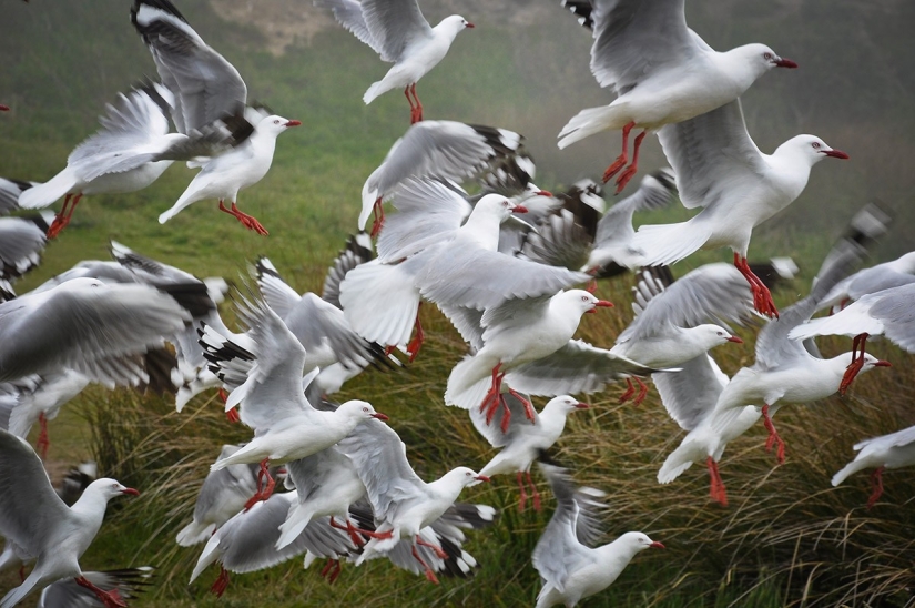 Yuzhny Island is a real paradise on Earth! Yuzhny Island is a real paradise on Earth!