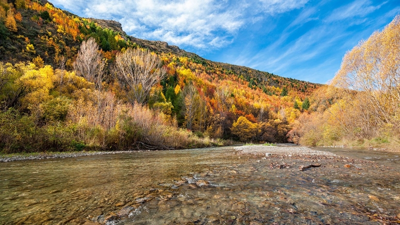 Yuzhny Island is a real paradise on Earth! Yuzhny Island is a real paradise on Earth!