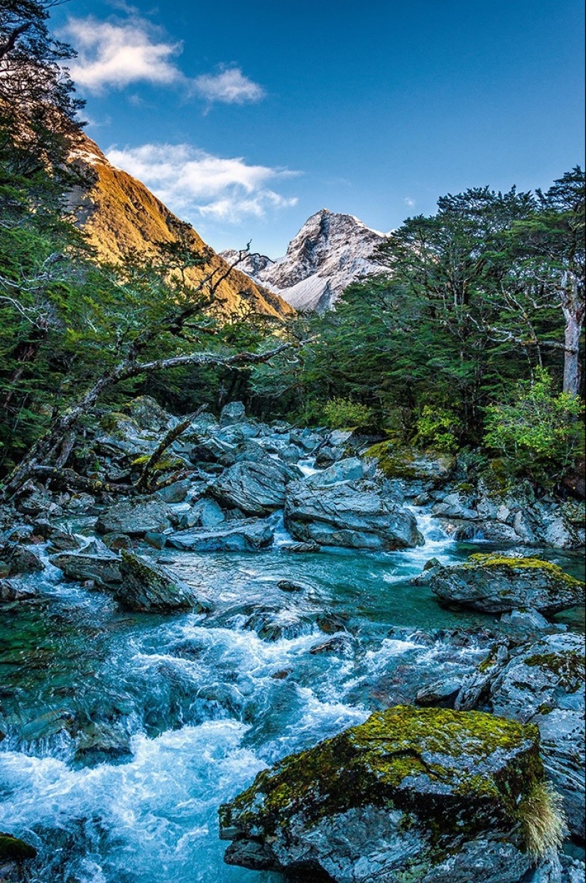 Yuzhny Island is a real paradise on Earth! Yuzhny Island is a real paradise on Earth!