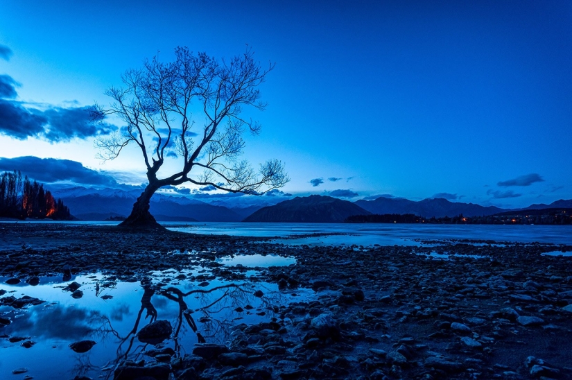 Yuzhny Island is a real paradise on Earth! Yuzhny Island is a real paradise on Earth!