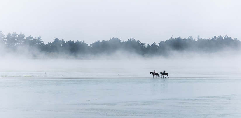 Yuzhny Island is a real paradise on Earth! Yuzhny Island is a real paradise on Earth!