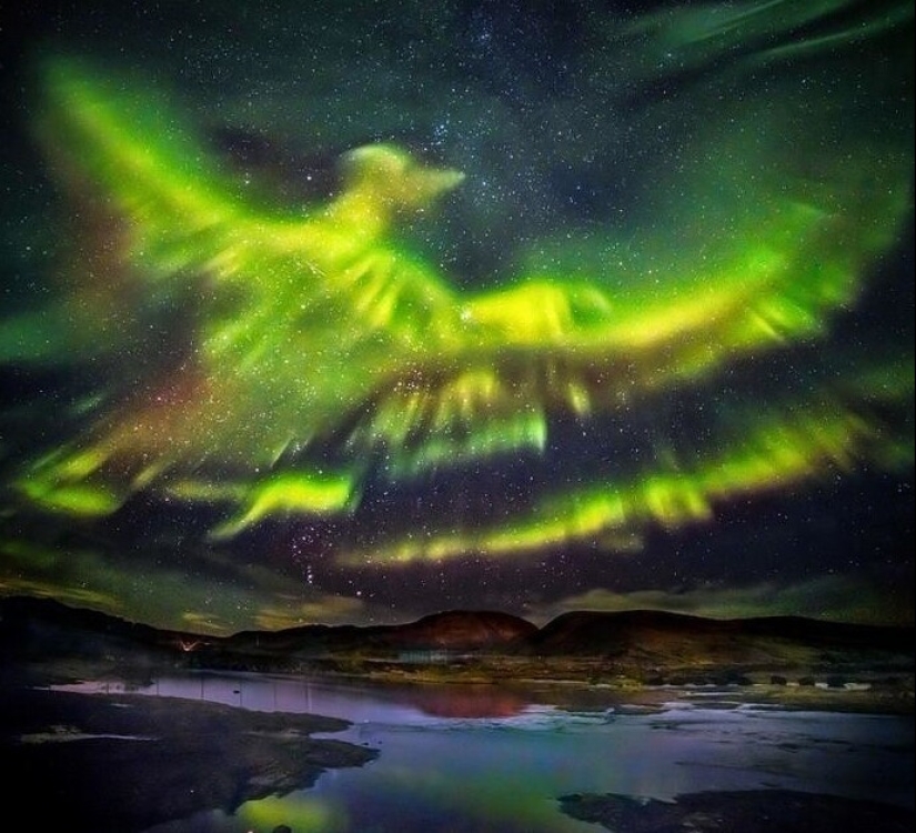 15 photos without photoshop, where reality borders on illusion