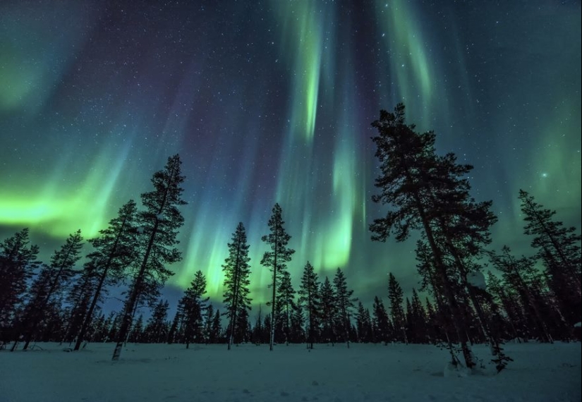 20 reasons why Lapland is the most magical place to celebrate the New Year 20 reasons why Lapland is the most magical place to celebrate the New Year