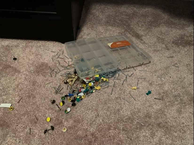 20 situaciones insignificantes que molestarán a cualquiera 20 situaciones insignificantes que molestarán a cualquiera