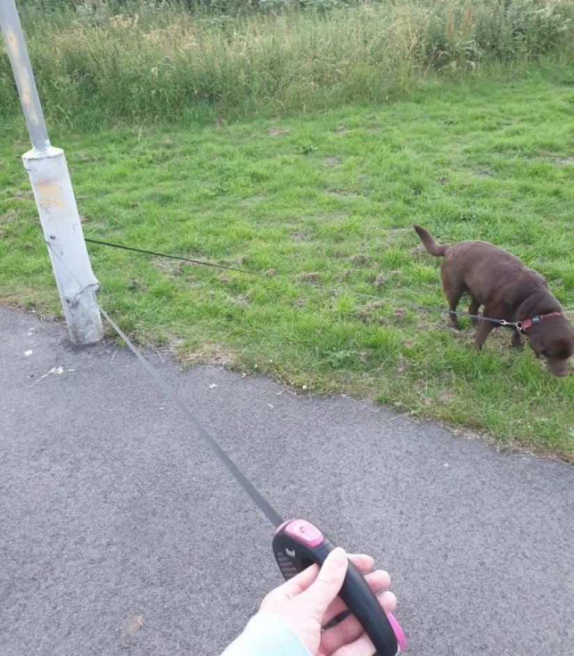 20 situaciones insignificantes que molestarán a cualquiera 20 situaciones insignificantes que molestarán a cualquiera