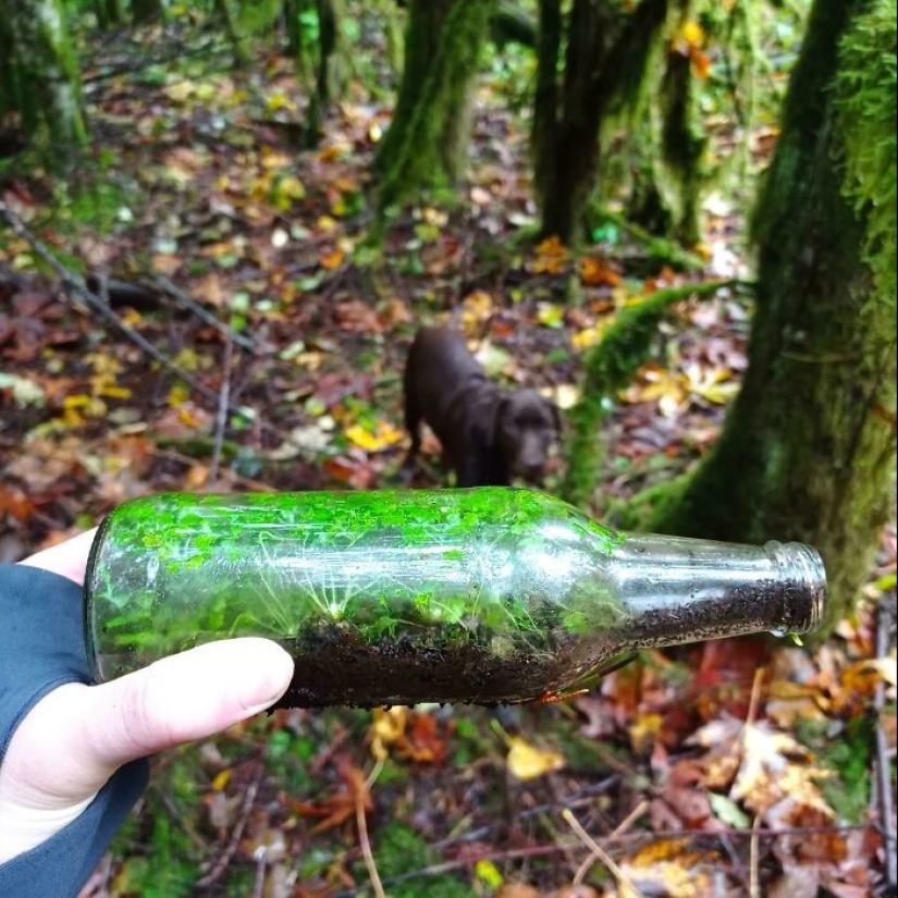 35 hallazgos inesperados que la gente ha compartido en línea 35 hallazgos inesperados que la gente ha compartido en línea