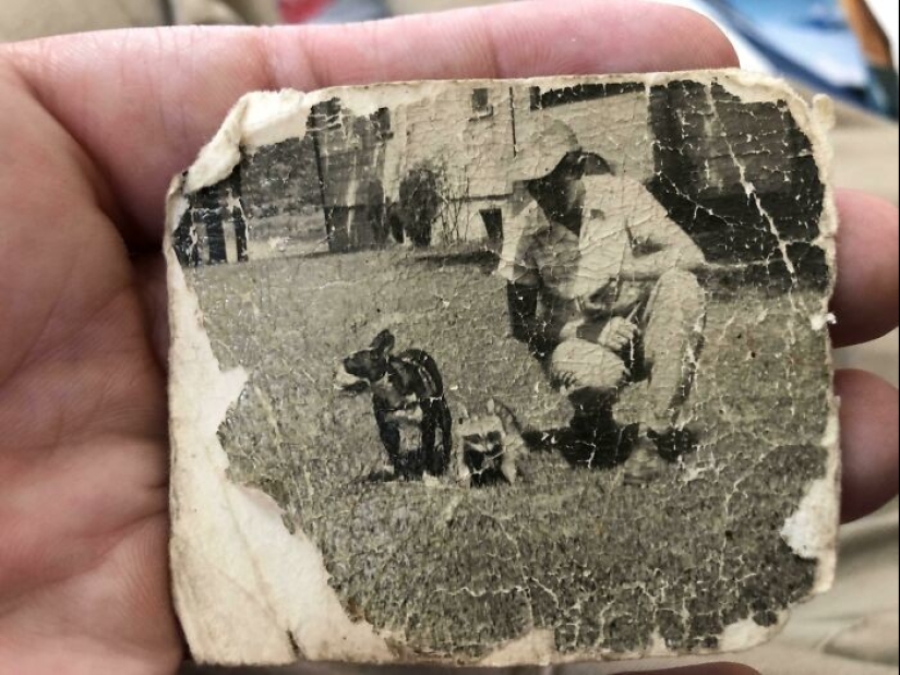 35 hallazgos inesperados que la gente ha compartido en línea 35 hallazgos inesperados que la gente ha compartido en línea