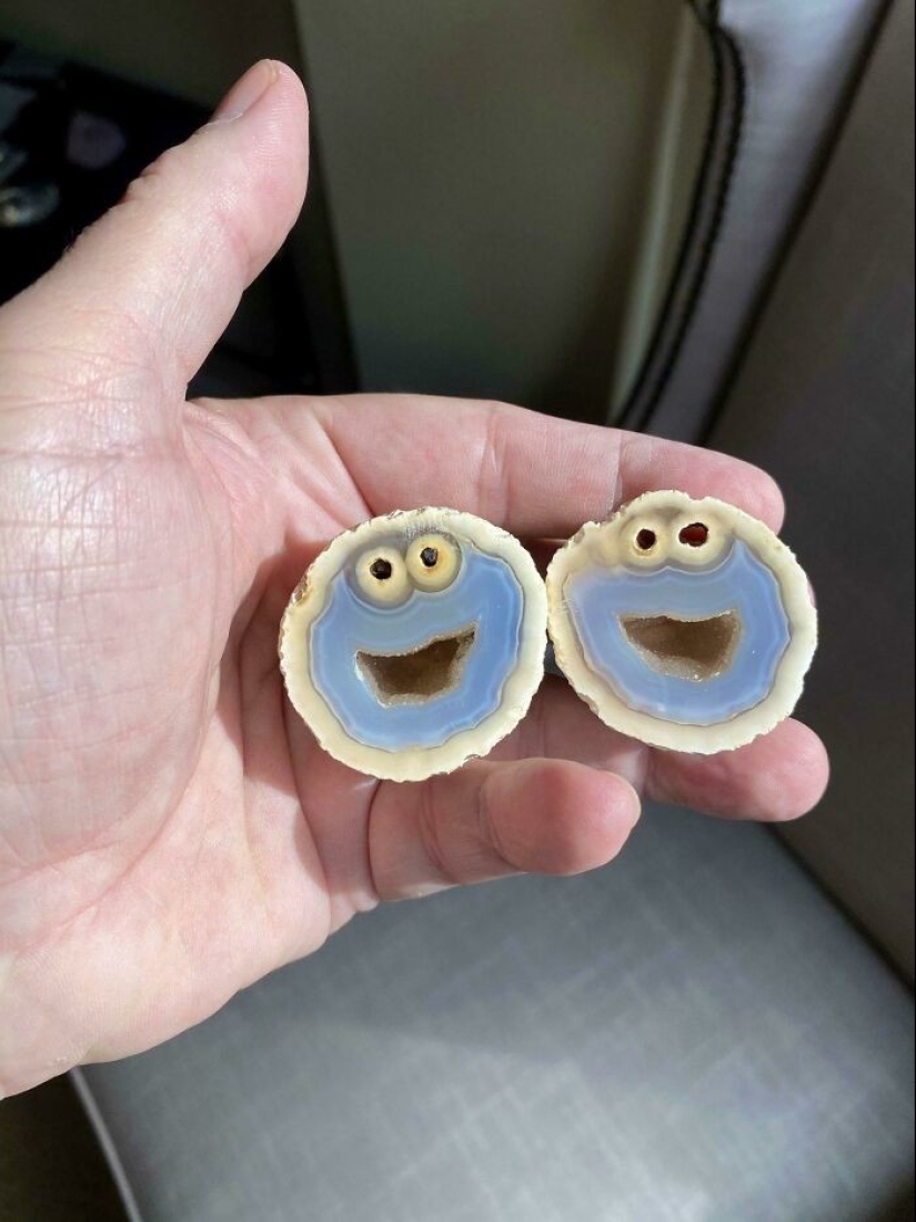 35 hallazgos inesperados que la gente ha compartido en línea 35 hallazgos inesperados que la gente ha compartido en línea