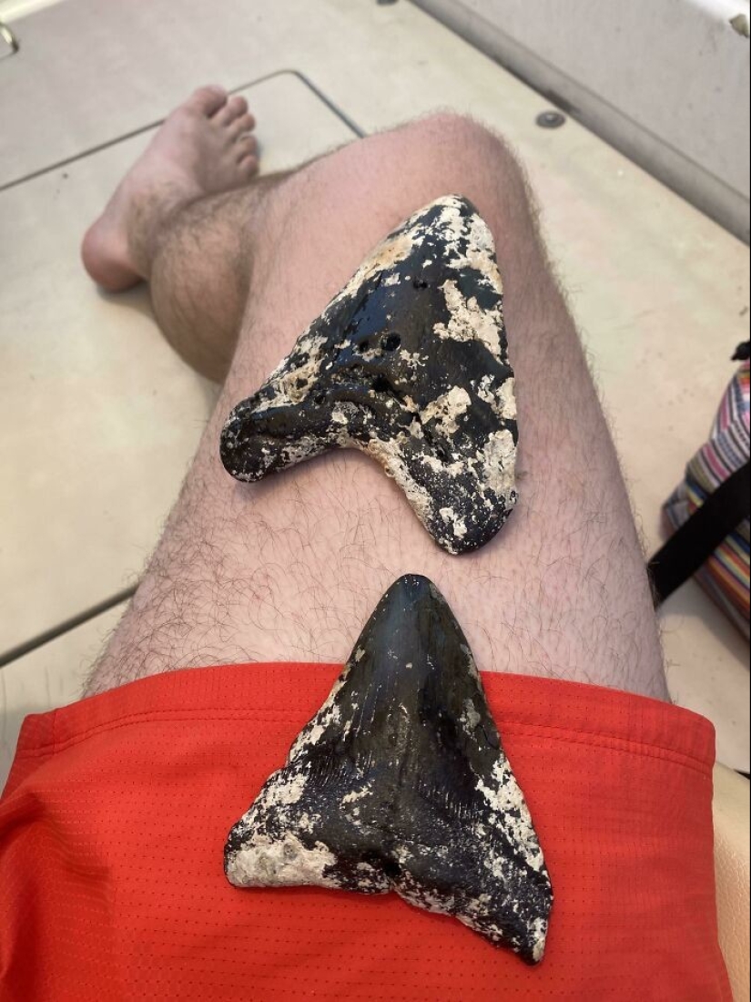 35 hallazgos inesperados que la gente ha compartido en línea 35 hallazgos inesperados que la gente ha compartido en línea