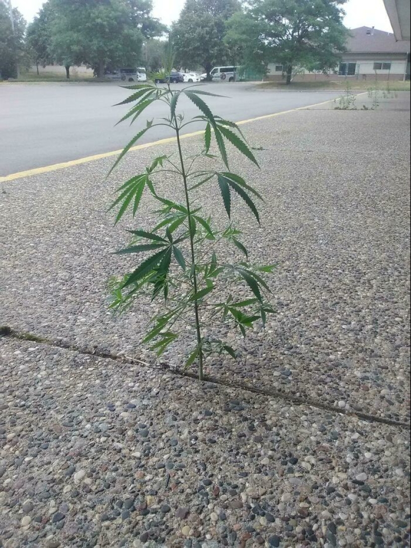 35 hallazgos inesperados que la gente ha compartido en línea 35 hallazgos inesperados que la gente ha compartido en línea