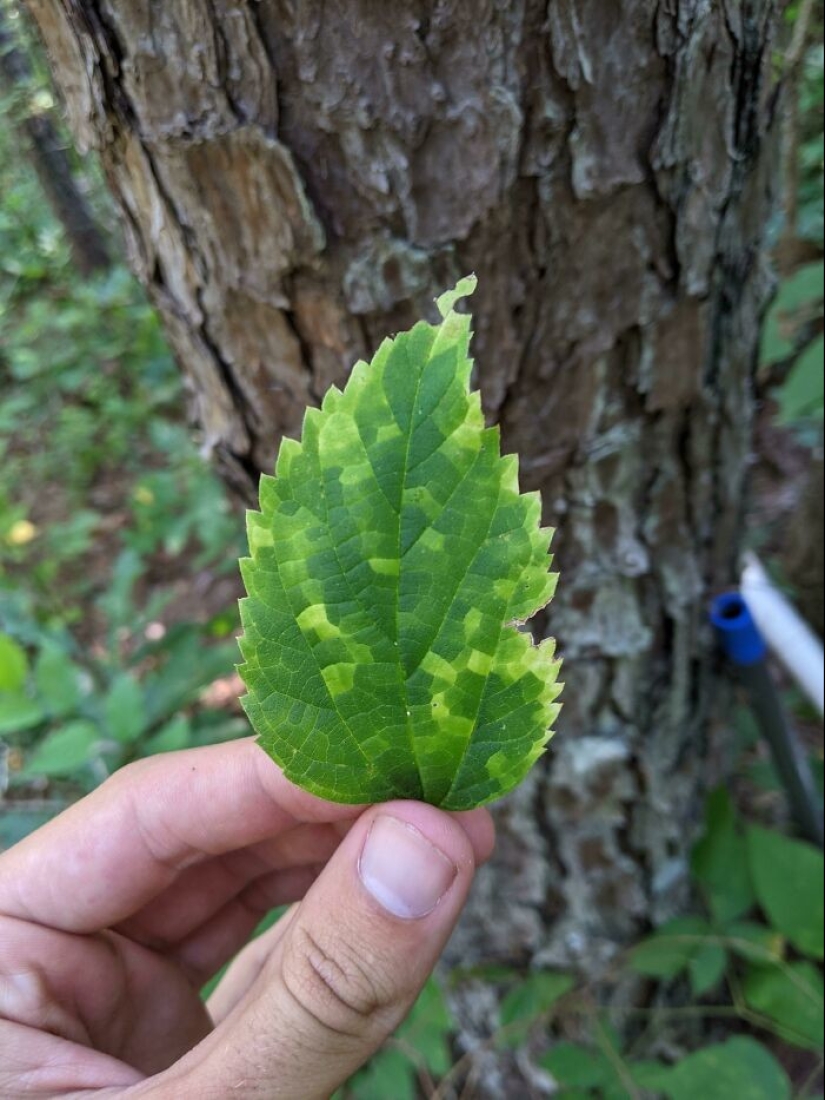 35 hallazgos inesperados que la gente ha compartido en línea 35 hallazgos inesperados que la gente ha compartido en línea