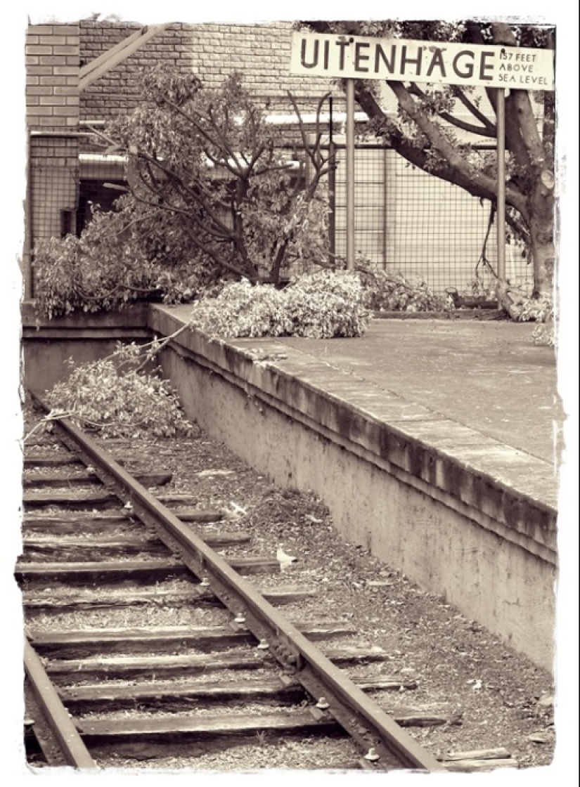 How the monkey officially worked on the railway