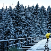 Paisajes de invierno relajantes por un fotógrafo alemán